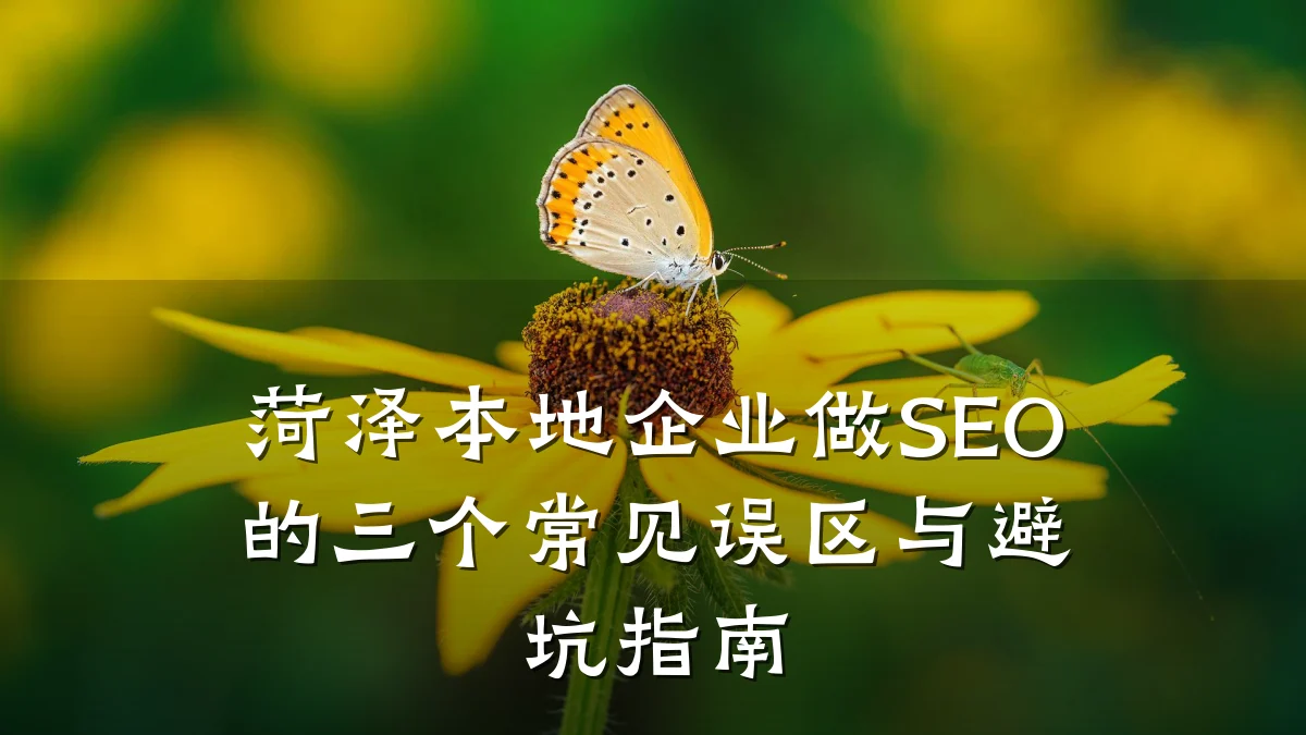 菏泽本地企业做SEO的三个常见误区与避坑指南