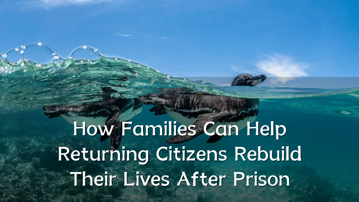 How Families Can Help Returning Citizens Rebuild Their Lives After Prison
