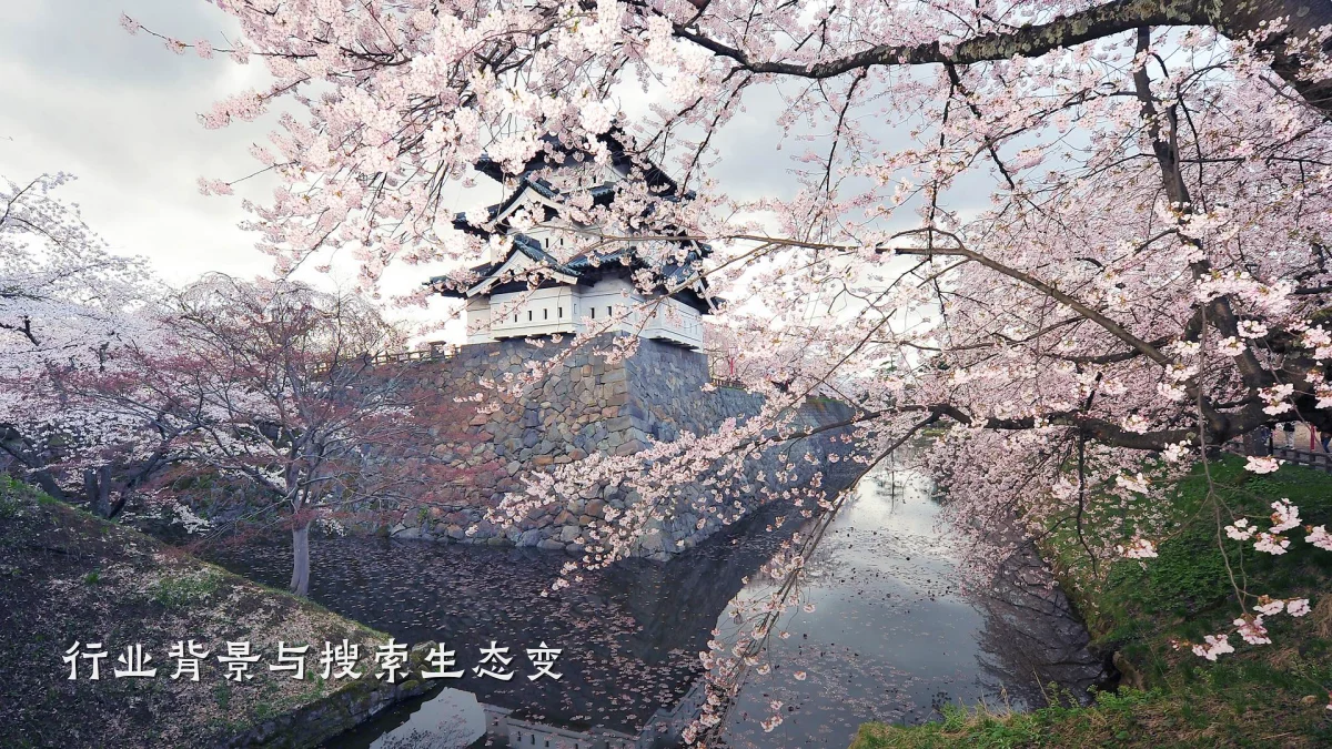 行业背景与搜索生态变