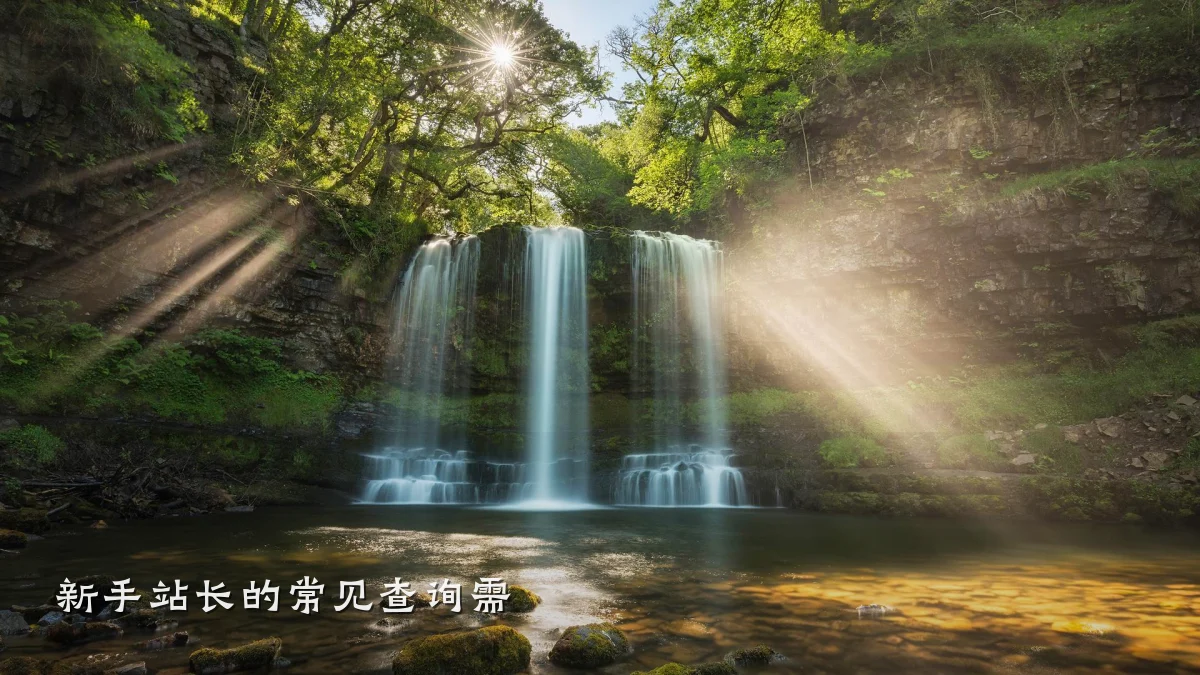 新手站长的常见查询需