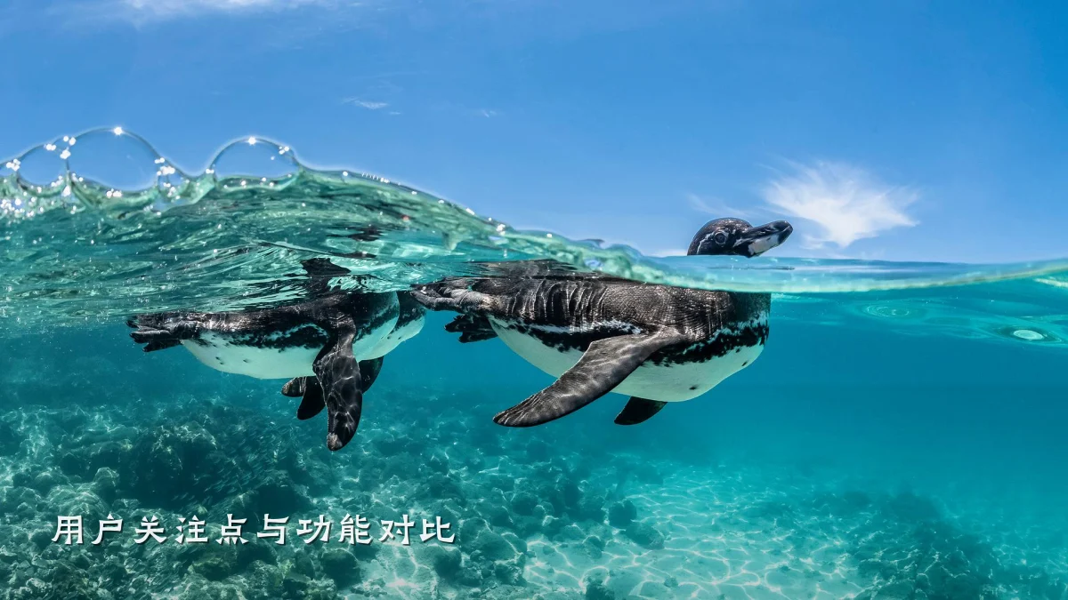 用户关注点与功能对比
