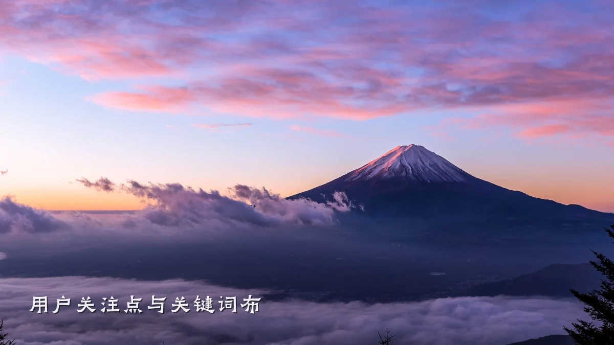 用户关注点与关键词布