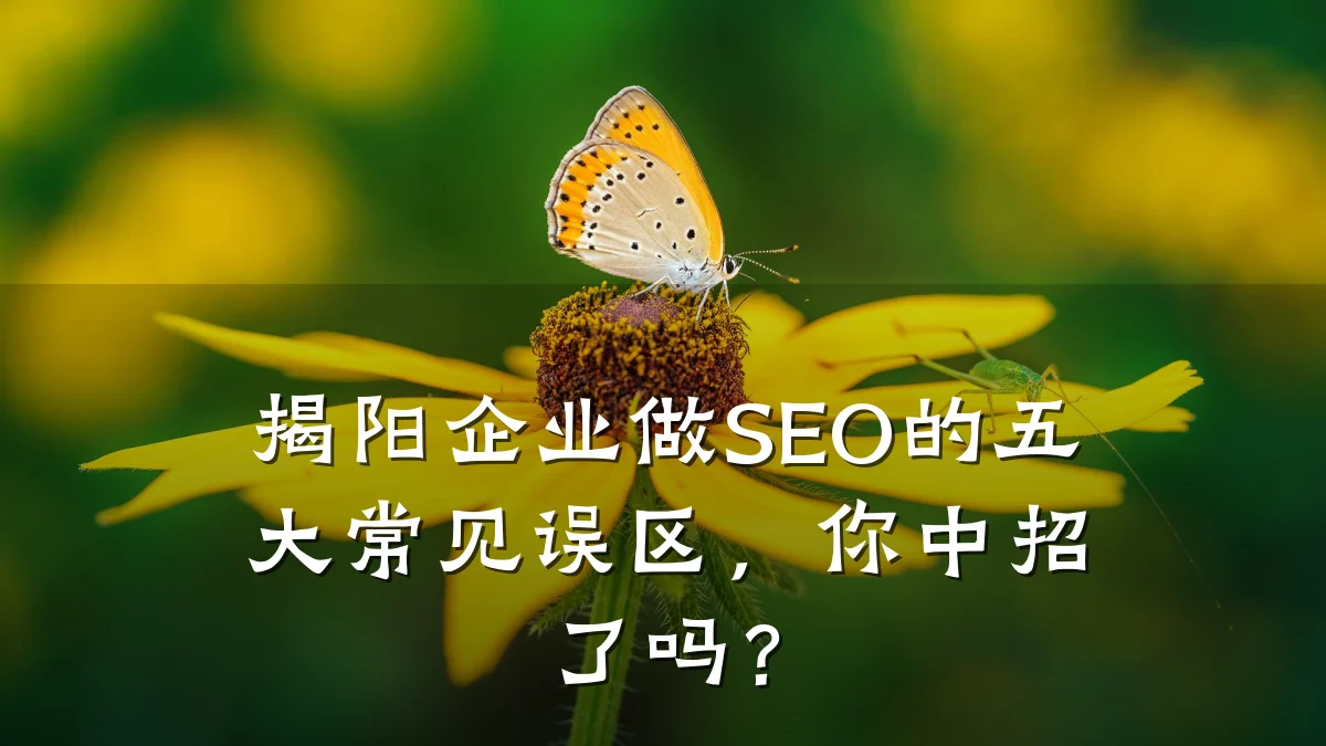揭阳企业做SEO的五大常见误区,你中招了吗?