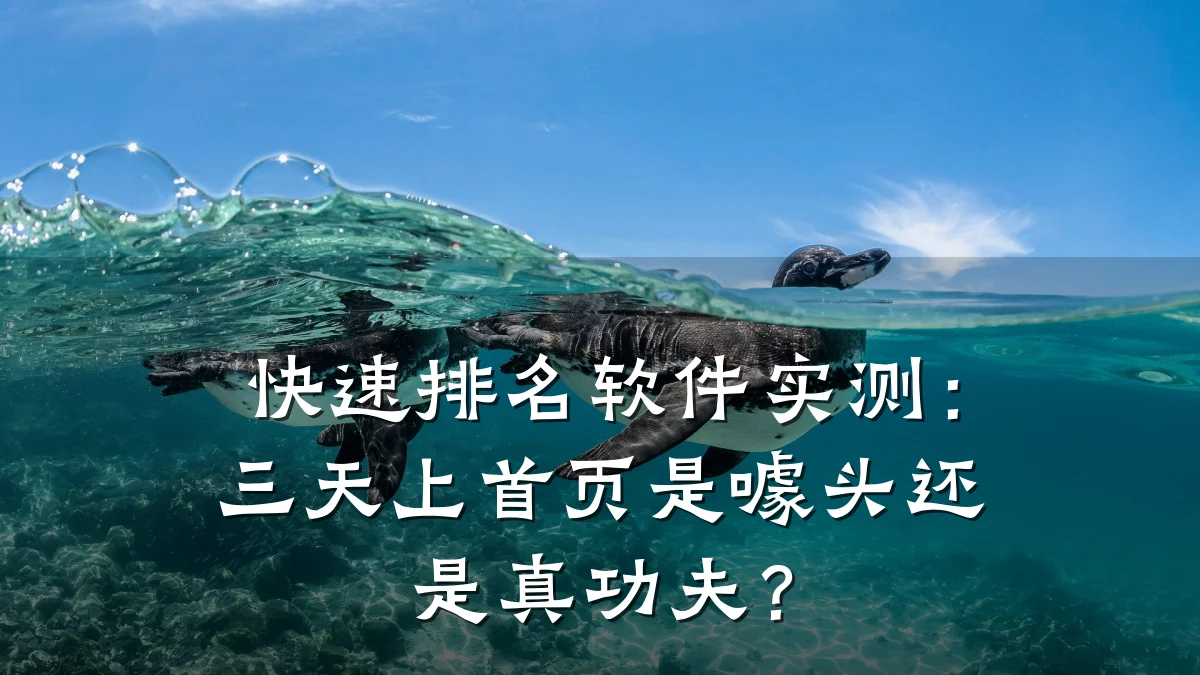 快速排名软件实测:三天上首页是噱头还是真功夫?