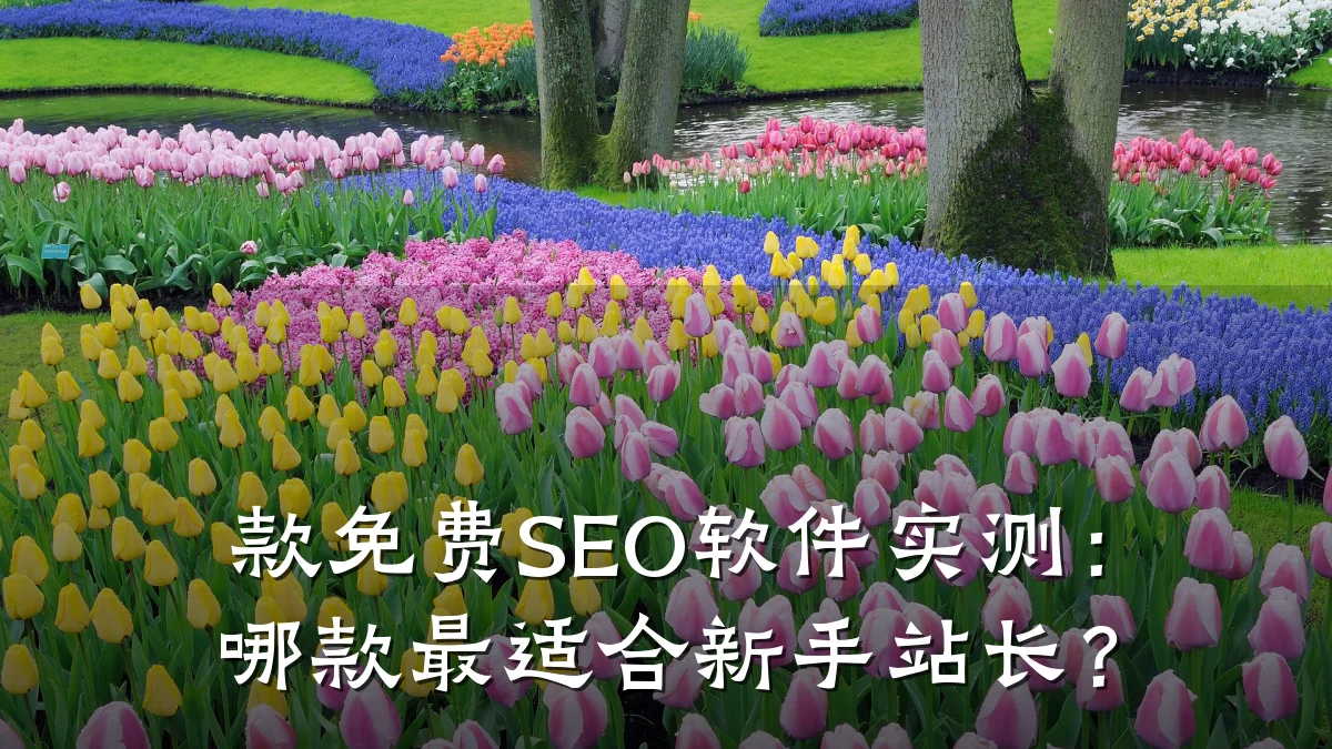 款免费SEO软件实测:哪款最适合新手站长?