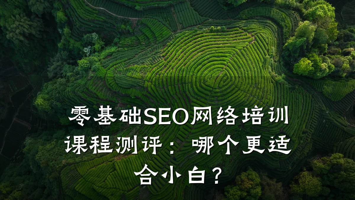 零基础SEO网络培训课程测评:哪个更适合小白?