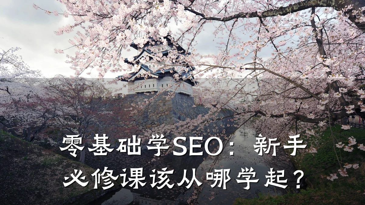 零基础学SEO:新手必修课该从哪学起?