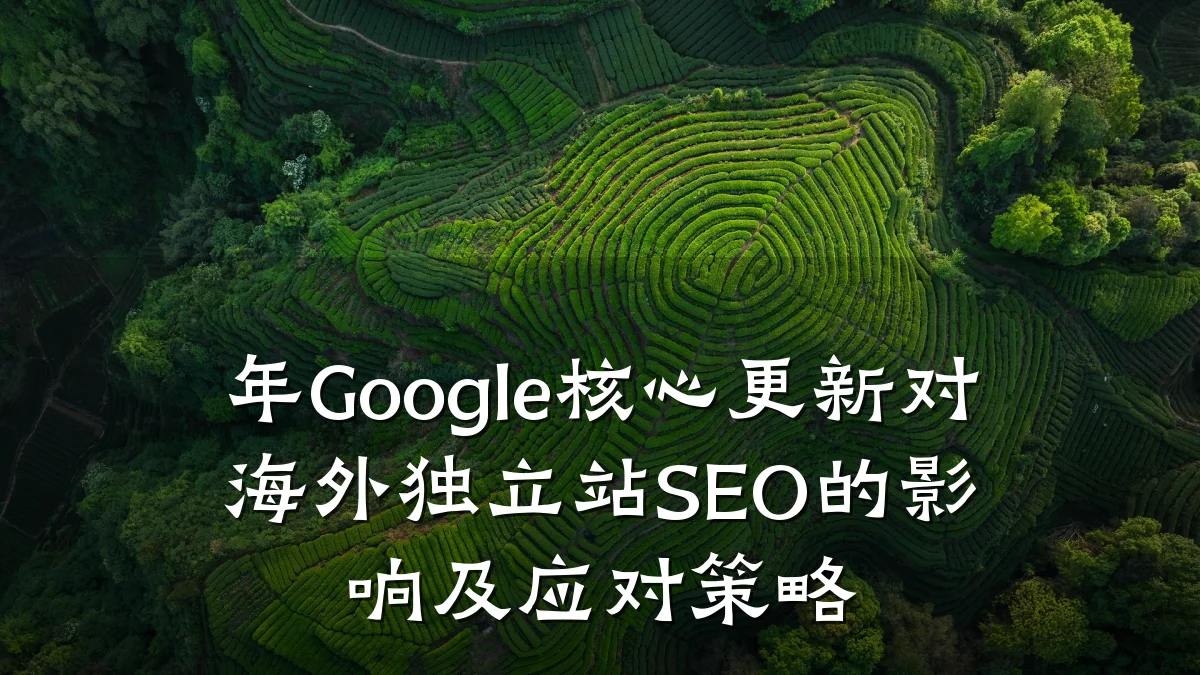 年Google核心更新对海外独立站SEO的影响及应对策略