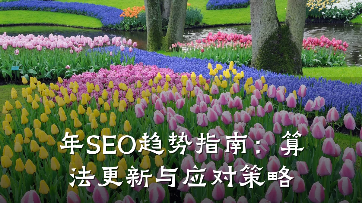 年SEO趋势指南:算法更新与应对策略