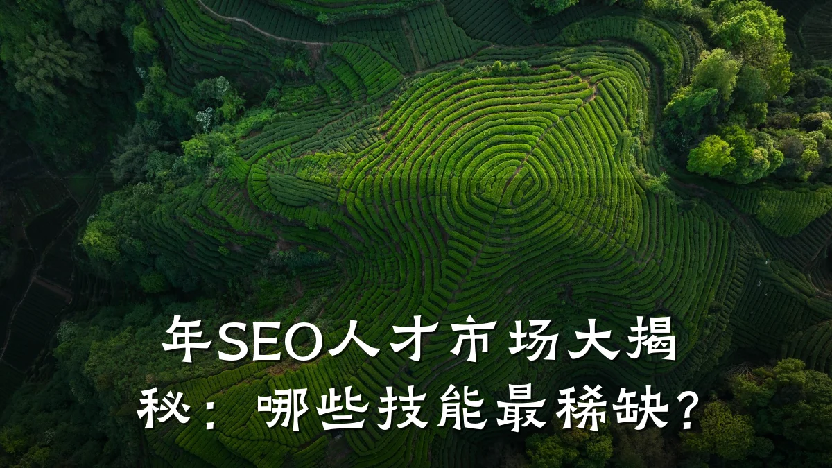 年SEO人才市场大揭秘:哪些技能最稀缺?