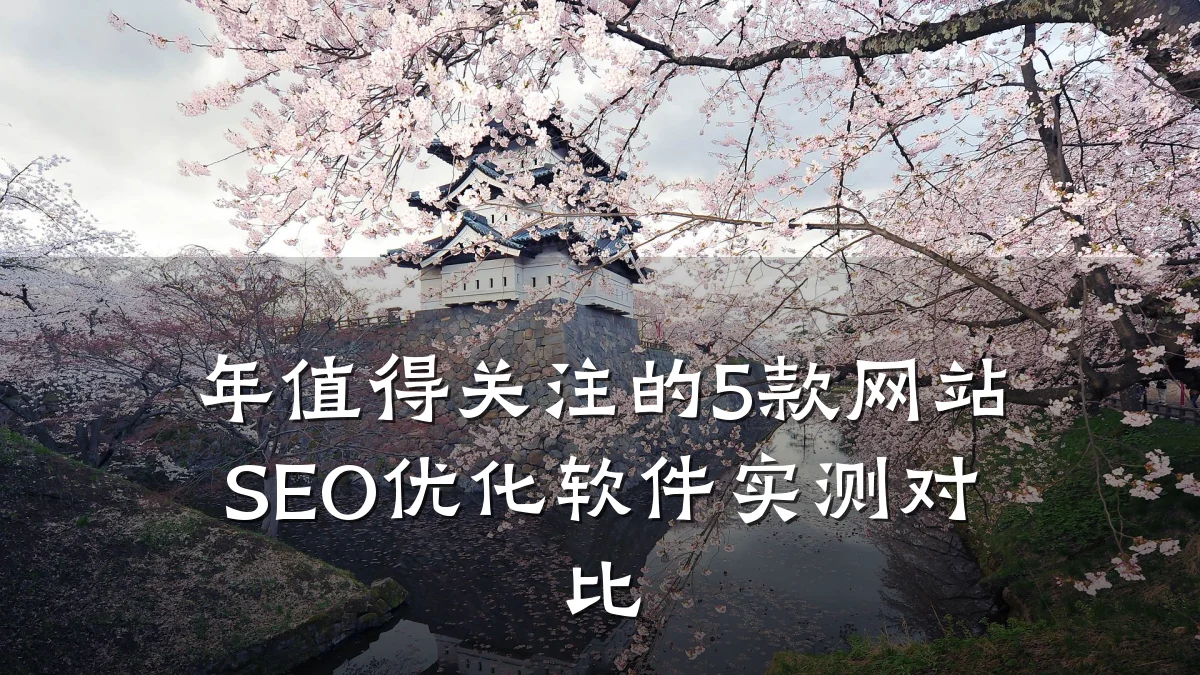 年值得关注的5款网站SEO优化软件实测对比
