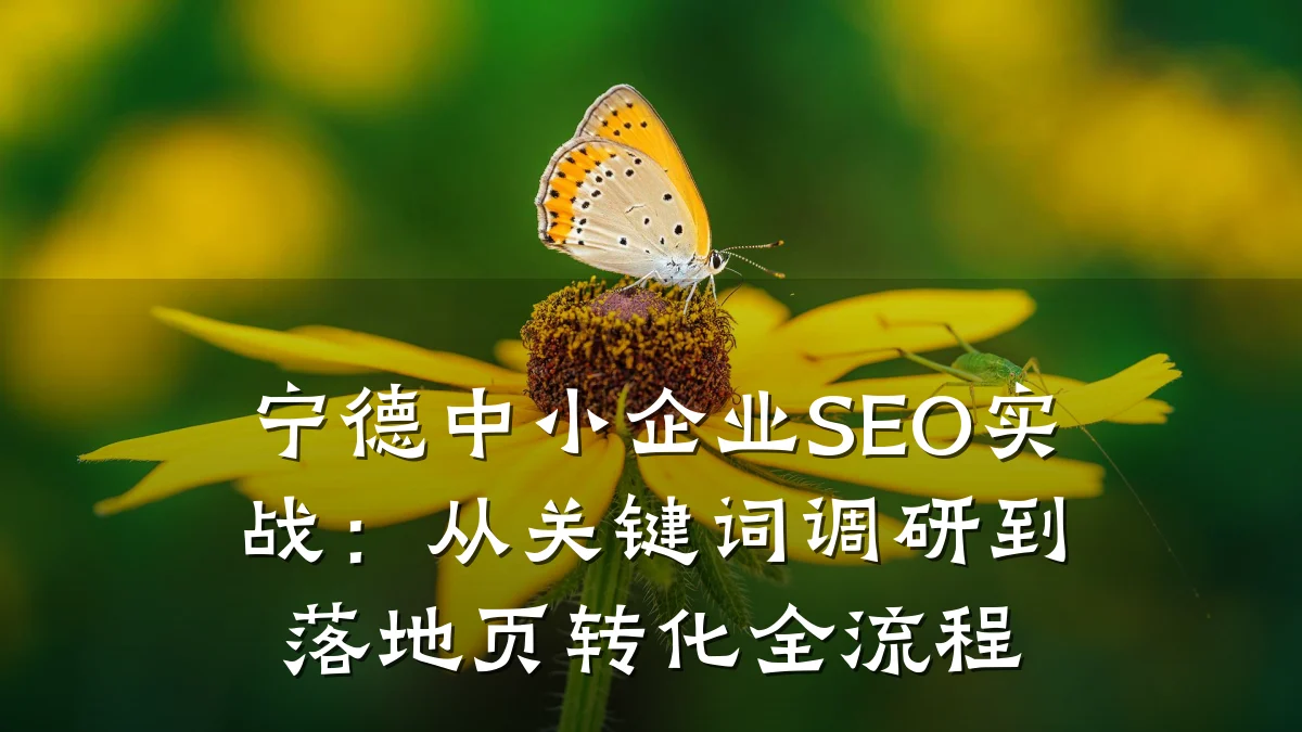 宁德中小企业SEO实战:从关键词调研到落地页转化全流程