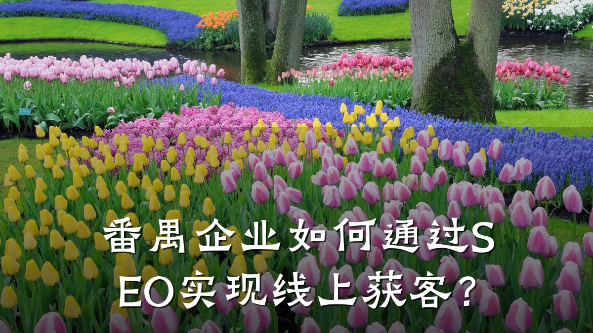 番禺企业如何通过SEO实现线上获客?