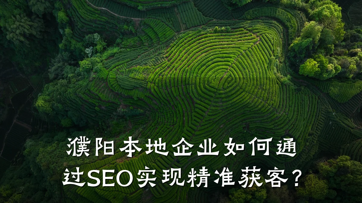 濮阳本地企业如何通过SEO实现精准获客?