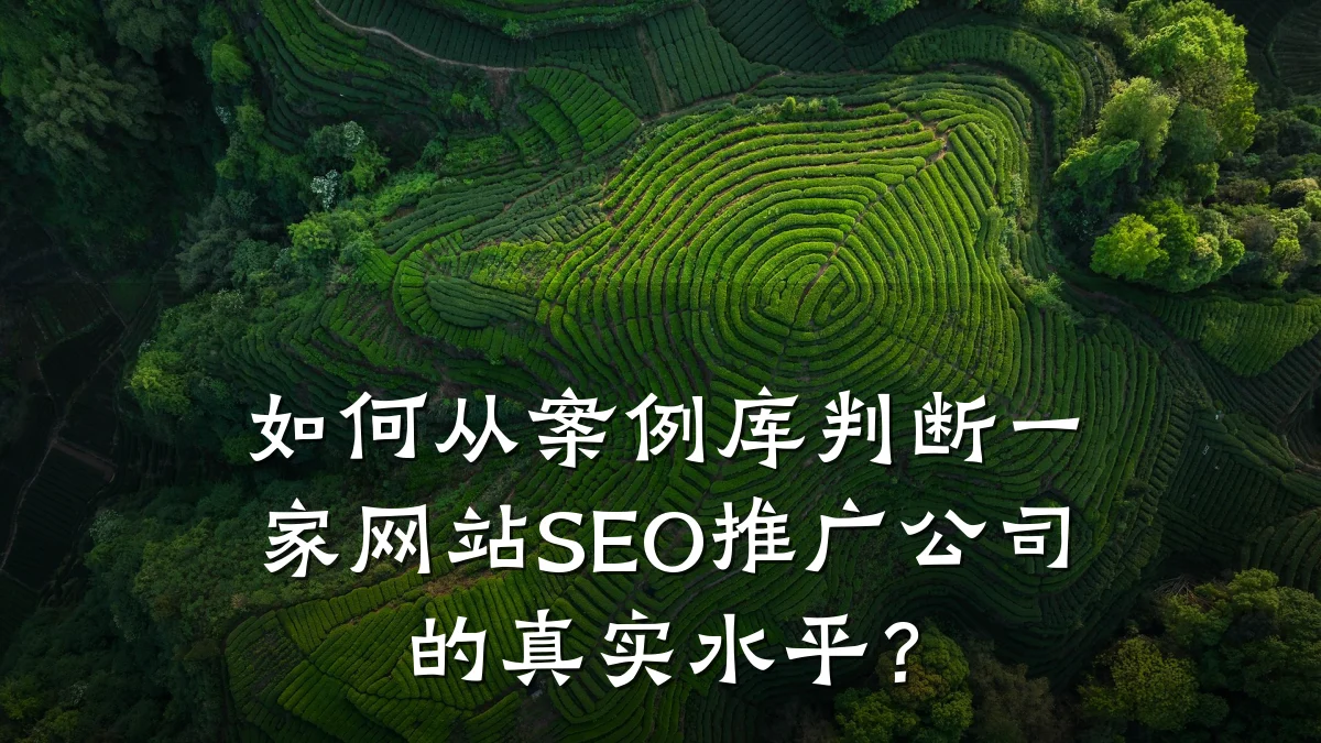 如何从案例库判断一家网站SEO推广公司的真实水平?