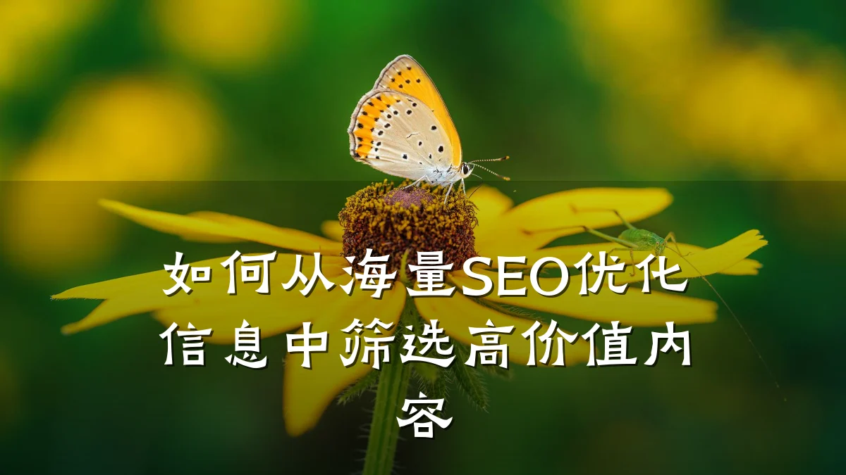 如何从海量SEO优化信息中筛选高价值内容