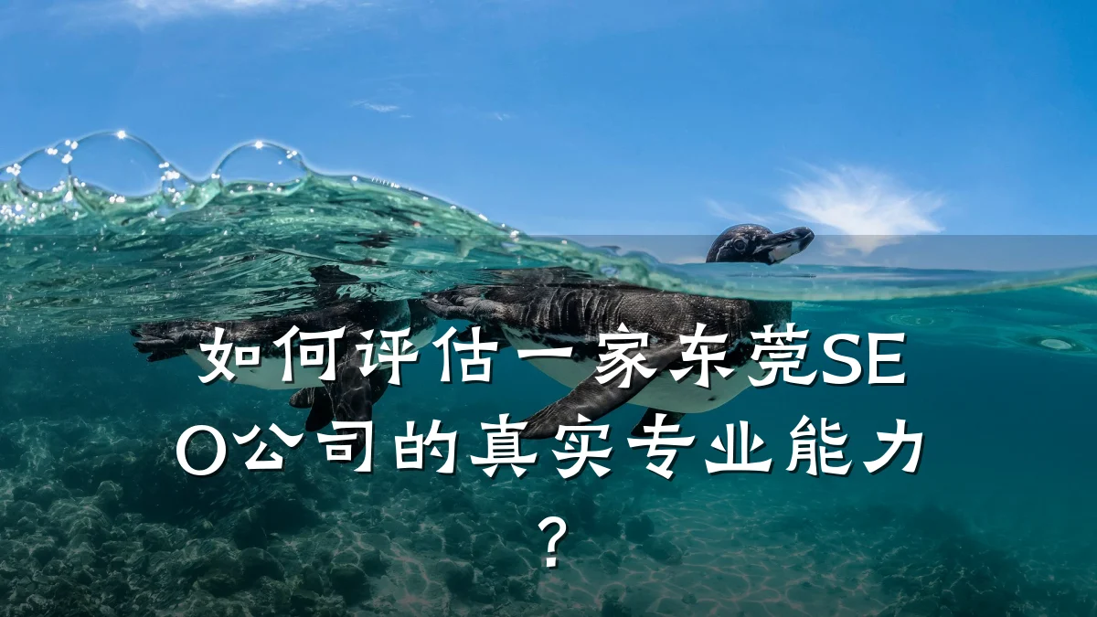 如何评估一家东莞SEO公司的真实专业能力?