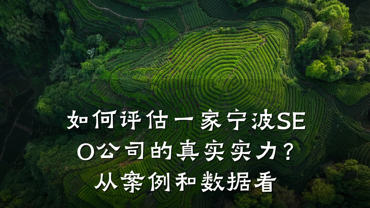 如何评估一家宁波SEO公司的真实实力？从案例和数据看