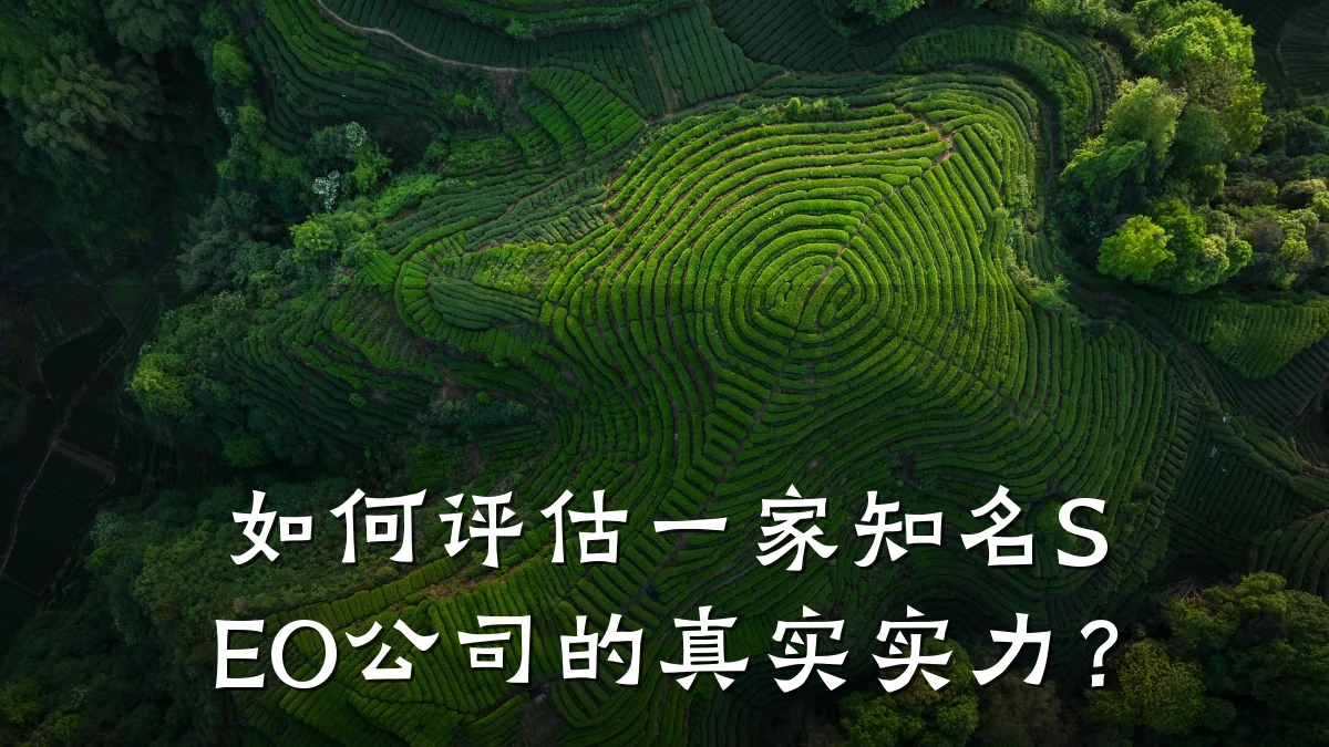 如何评估一家知名SEO公司的真实实力?