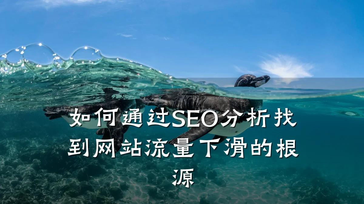 如何通过SEO分析找到网站流量下滑的根源
