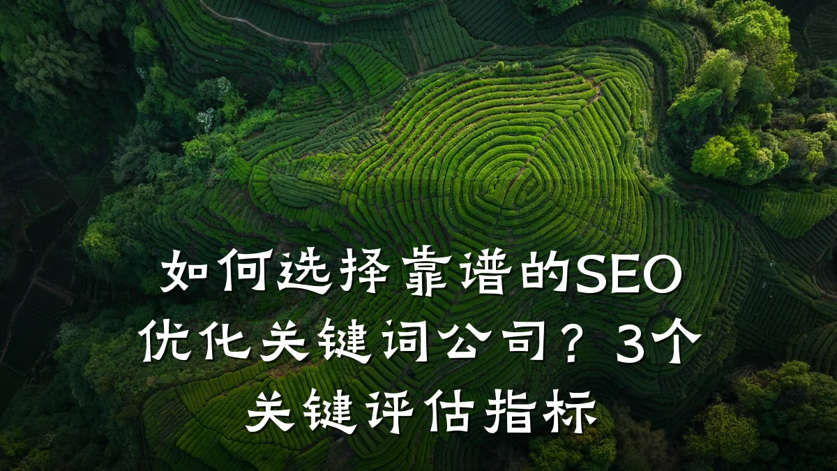 如何选择靠谱的SEO优化关键词公司?3个关键评估指标