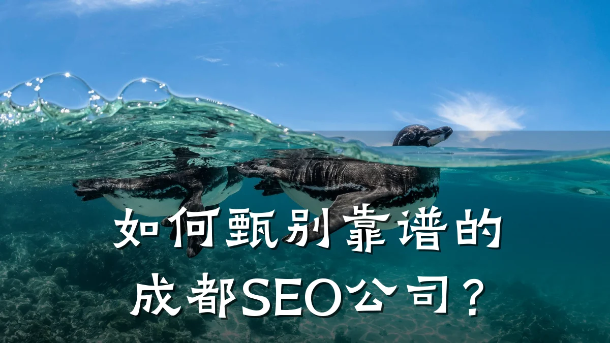 如何甄别靠谱的成都SEO公司?
