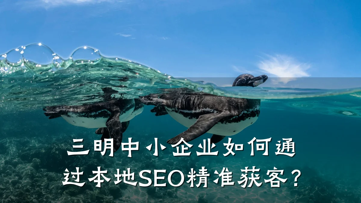 三明中小企业如何通过本地SEO精准获客?