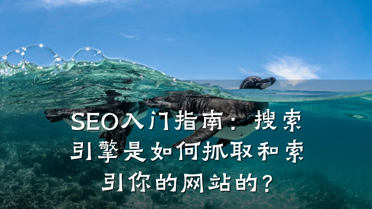 SEO入门指南：搜索引擎是如何抓取和索引你的网站的？