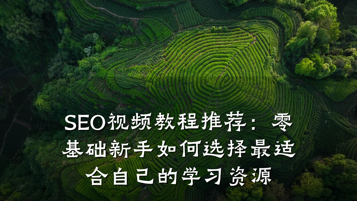 SEO视频教程推荐：零基础新手如何选择最适合自己的学习资源