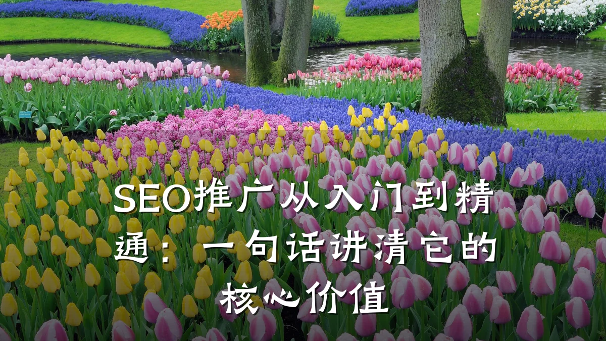 SEO推广从入门到精通:一句话讲清它的核心价值