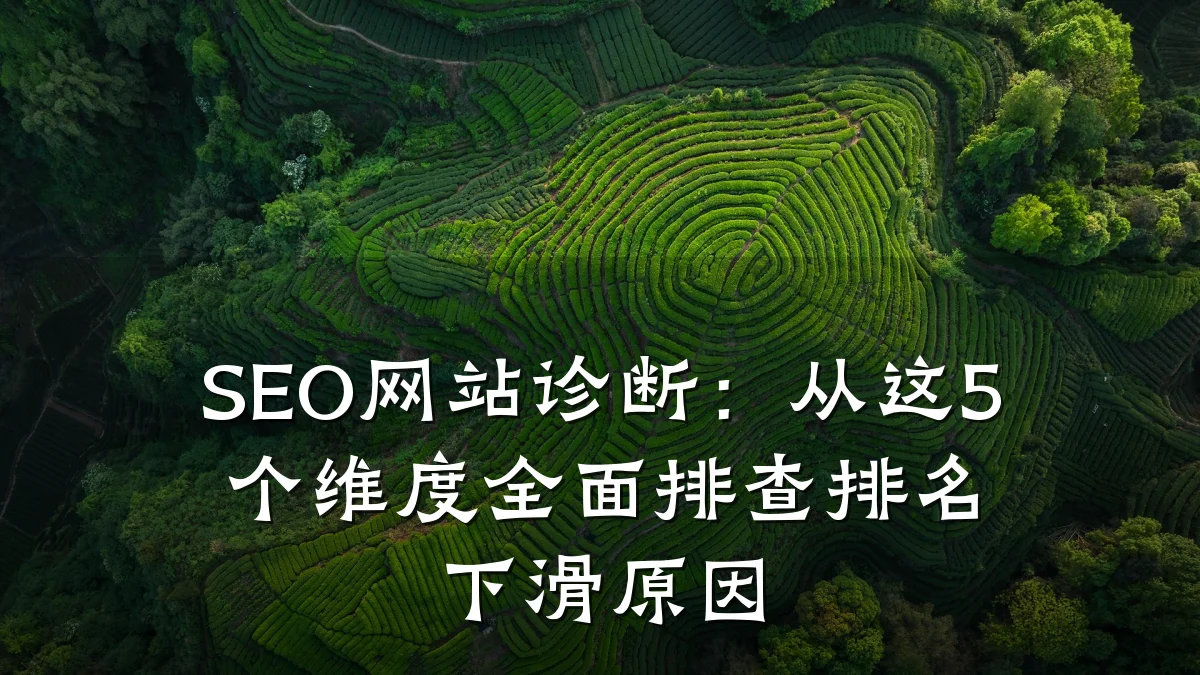 SEO网站诊断:从这5个维度全面排查排名下滑原因