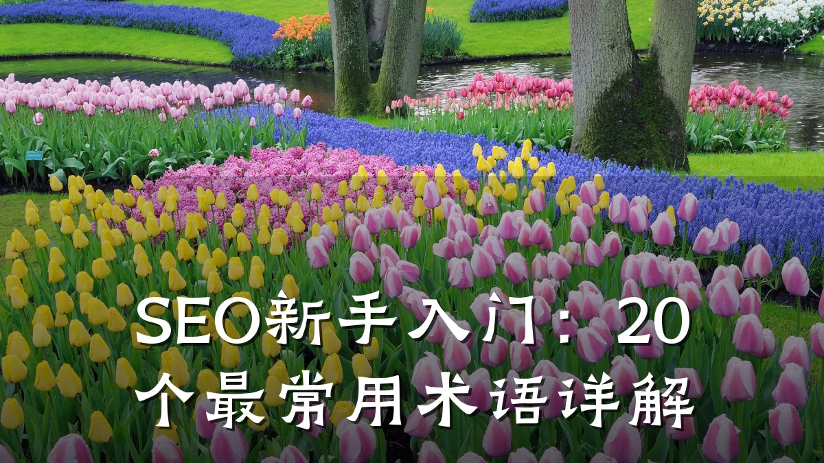SEO新手入门：20个最常用术语详解