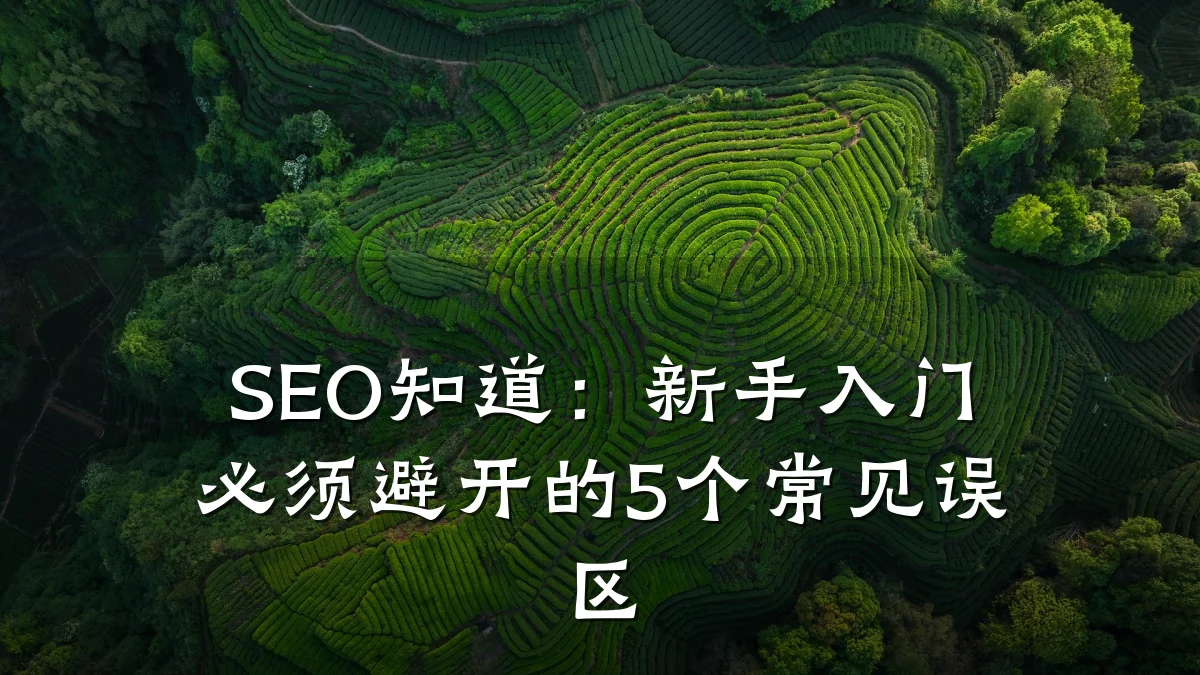 SEO知道:新手入门必须避开的5个常见误区