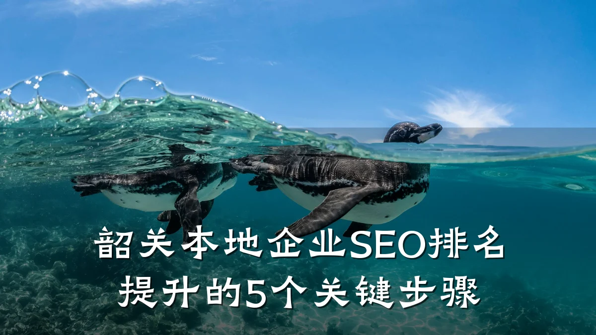 韶关本地企业SEO排名提升的5个关键步骤