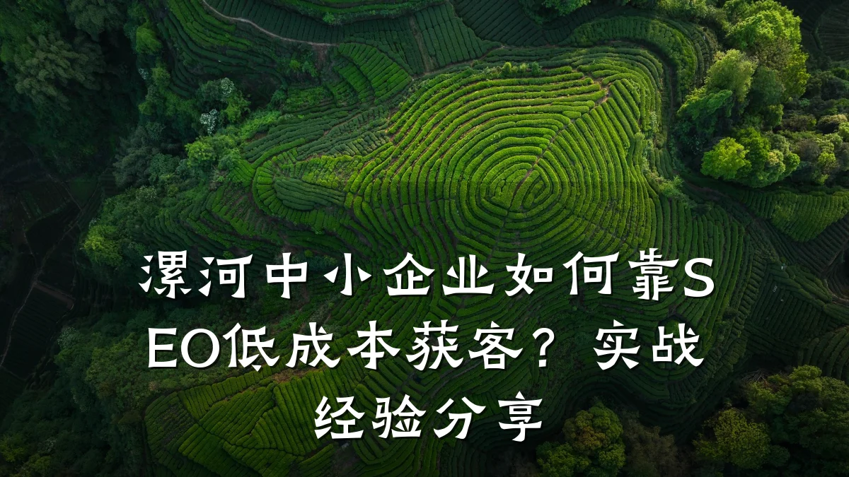 漯河中小企业如何靠SEO低成本获客?实战经验分享