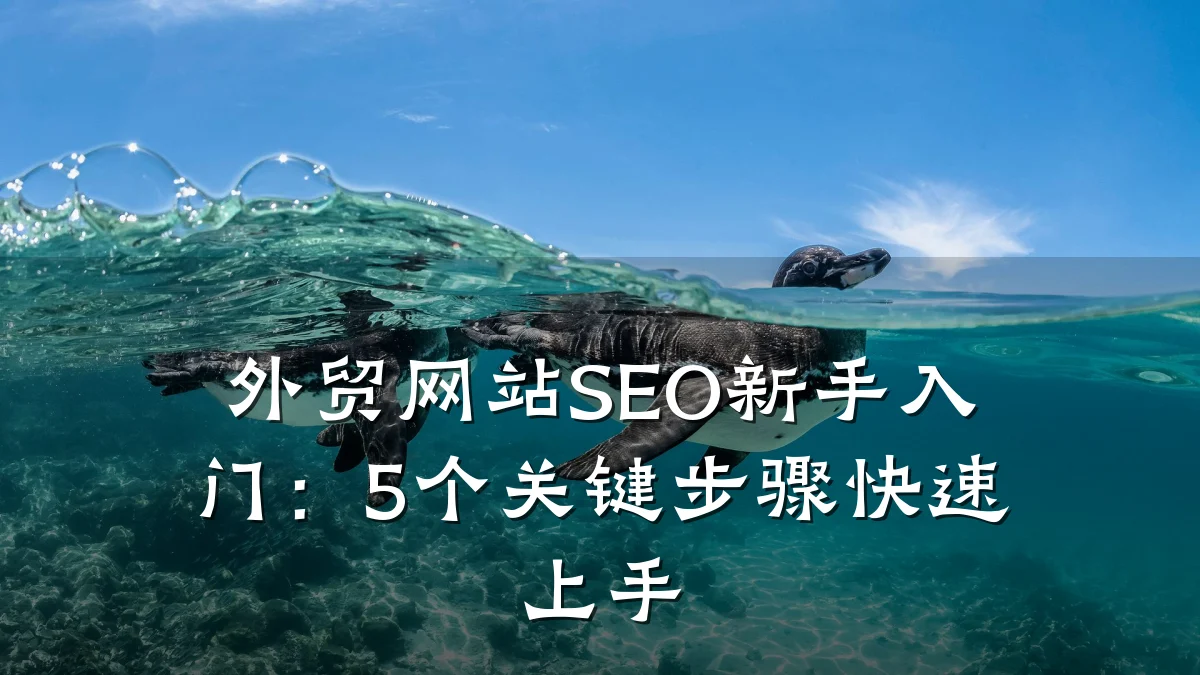 外贸网站SEO新手入门:5个关键步骤快速上手
