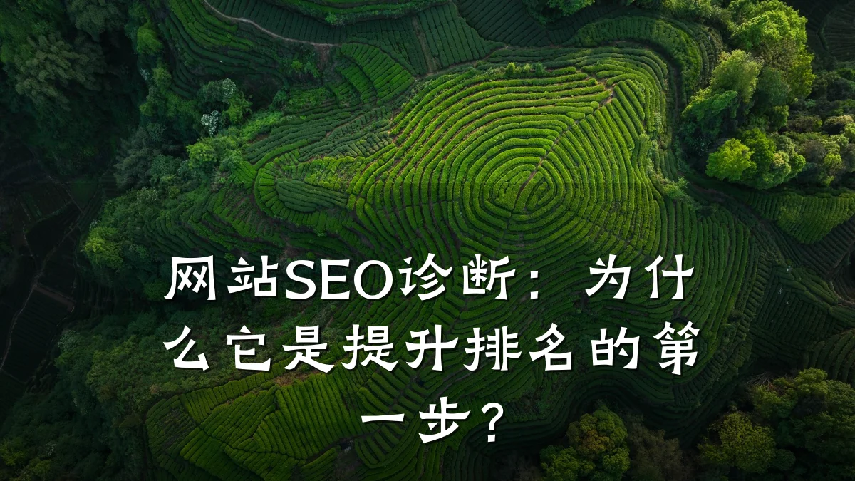 网站SEO诊断:为什么它是提升排名的第一步?