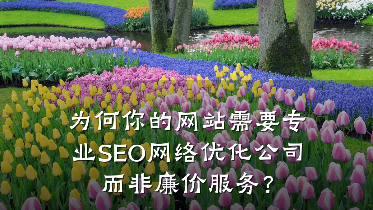 为何你的网站需要专业SEO网络优化公司而非廉价服务?