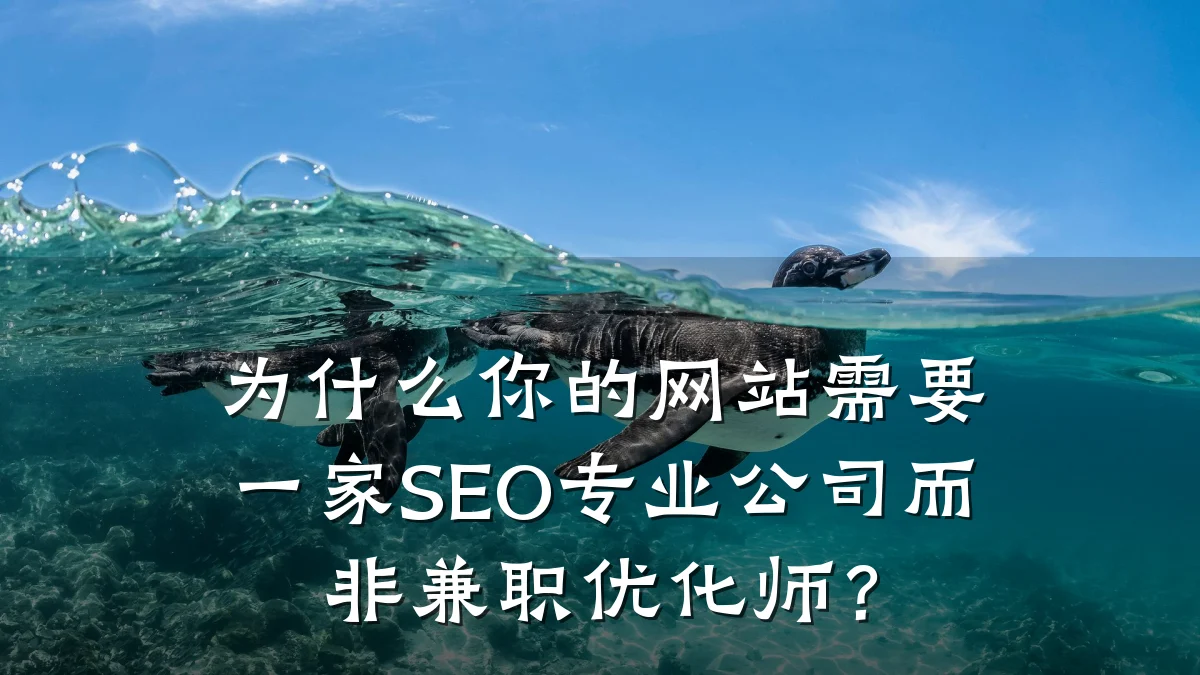 为什么你的网站需要一家SEO专业公司而非兼职优化师?