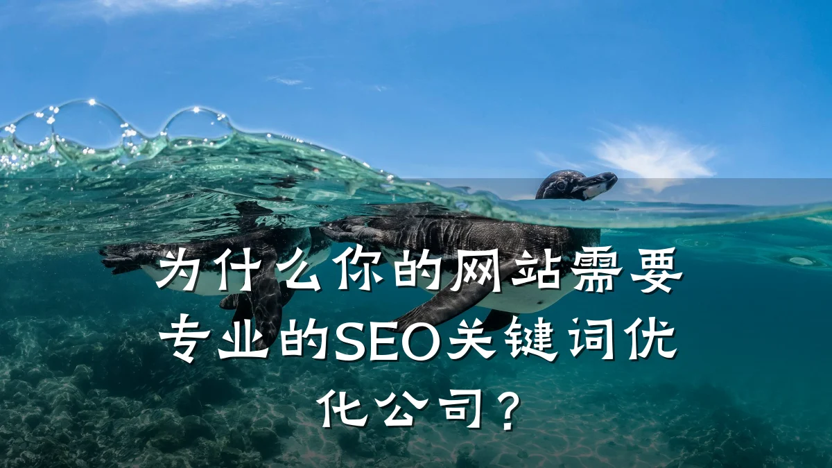 为什么你的网站需要专业的SEO关键词优化公司?