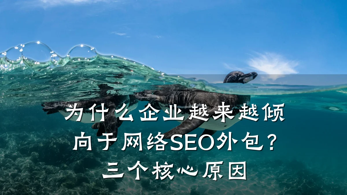 为什么企业越来越倾向于网络SEO外包?三个核心原因