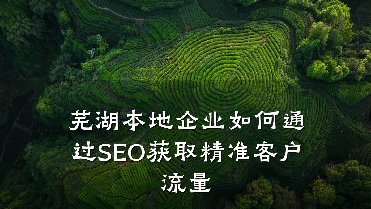芜湖本地企业如何通过SEO获取精准客户流量