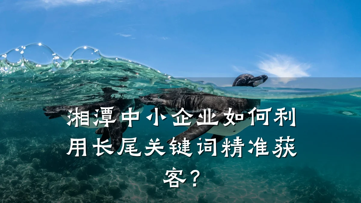 湘潭中小企业如何利用长尾关键词精准获客?