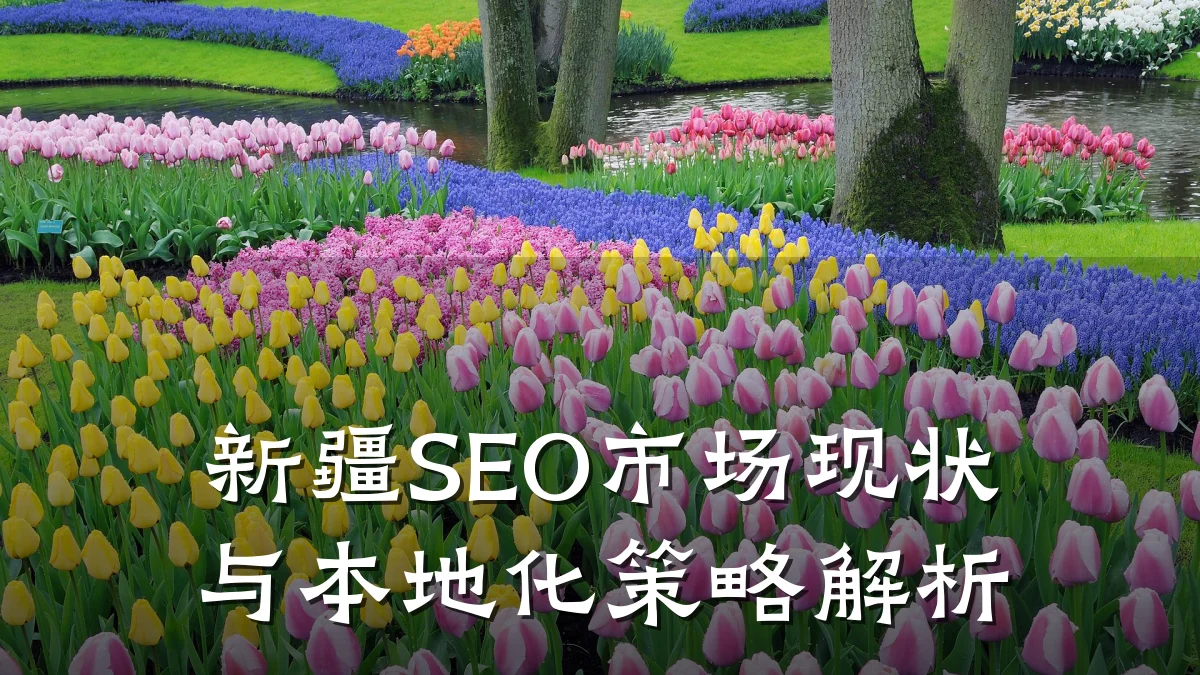 新疆SEO市场现状与本地化策略解析