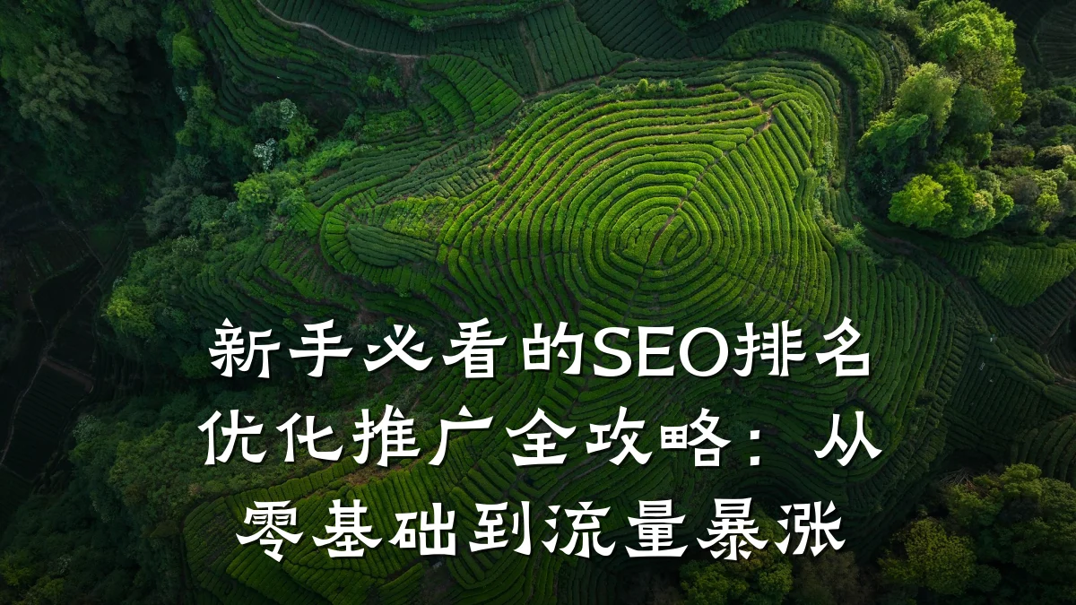 新手必看的SEO排名优化推广全攻略:从零基础到流量暴涨