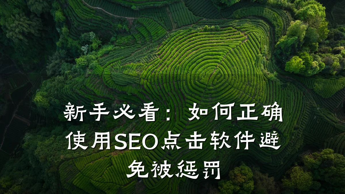 新手必看:如何正确使用SEO点击软件避免被惩罚