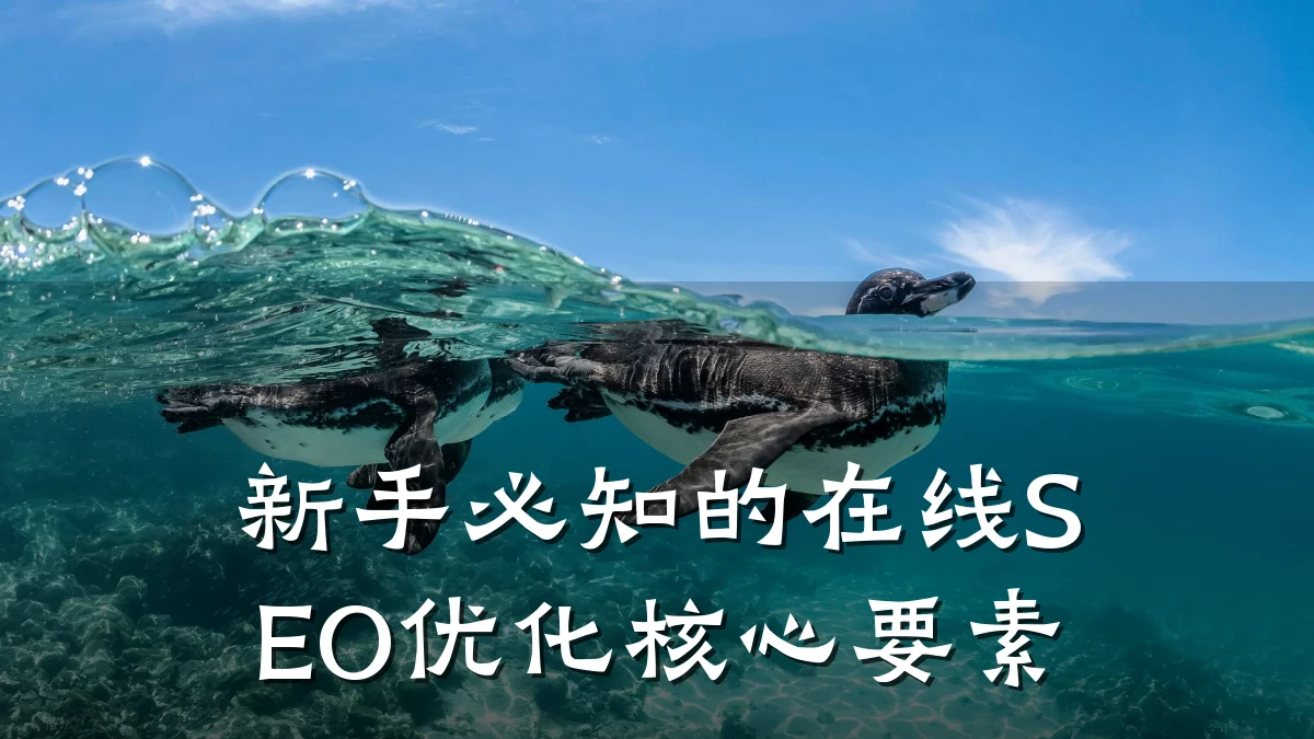 新手必知的在线SEO优化核心要素