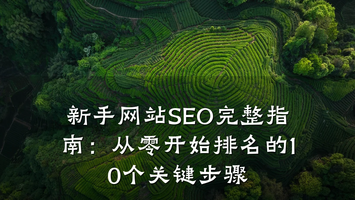 新手网站SEO完整指南：从零开始排名的10个关键步骤