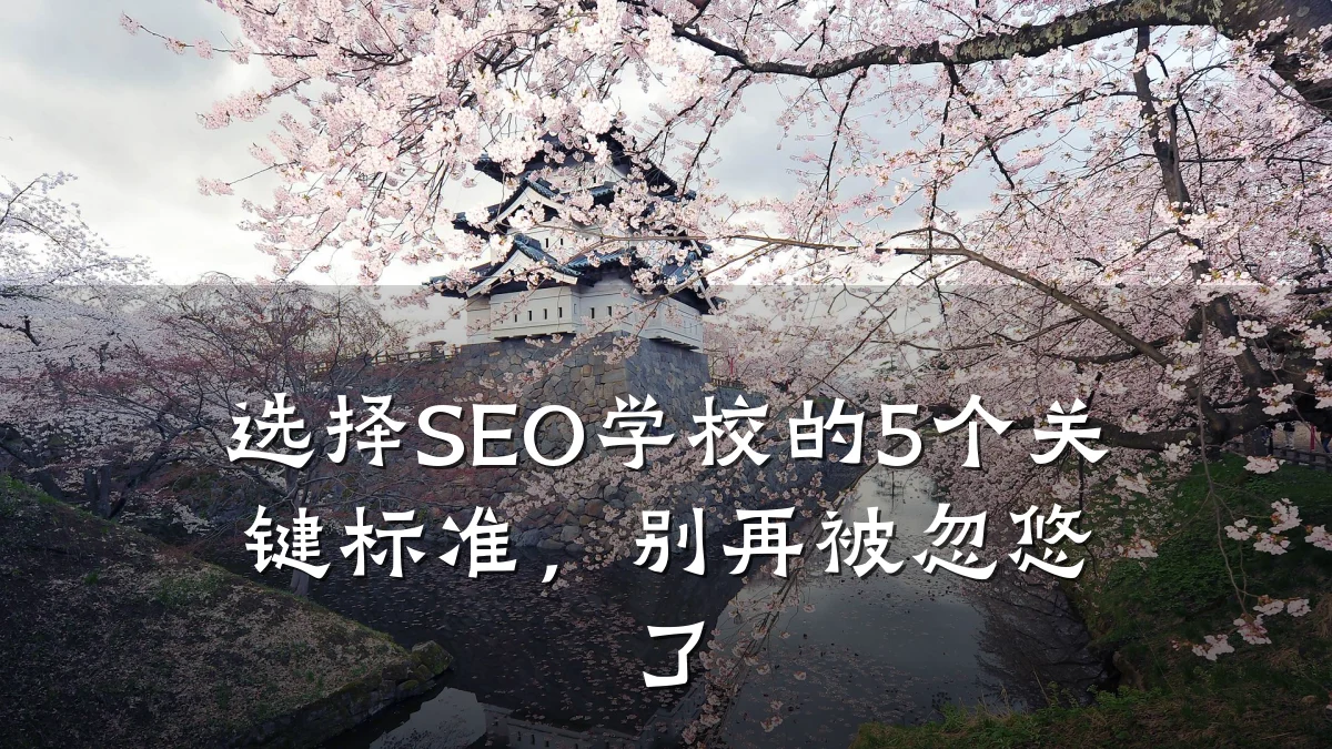 选择SEO学校的5个关键标准,别再被忽悠了
