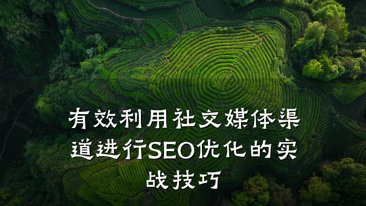 有效利用社交媒体渠道进行SEO优化的实战技巧